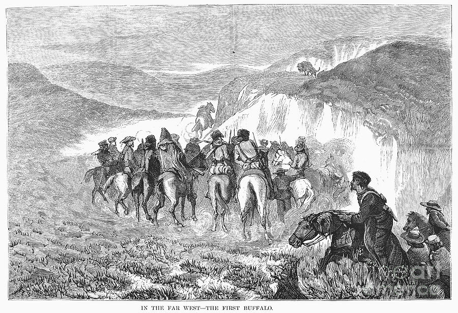 Buffalo Hunt, 1871 Photograph by Granger