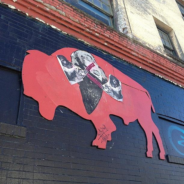 Sign Photograph - Buffalo Marilyn by T Catonpremise