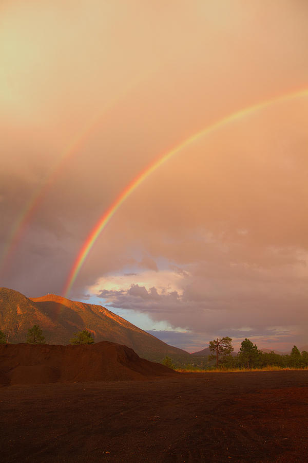 Buffalo Rainbow Photograph by Tom Kelly