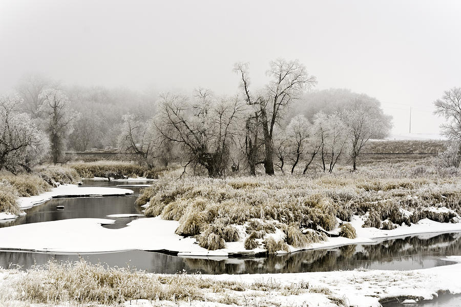 Buffalo River Photograph By Kevin Alpert