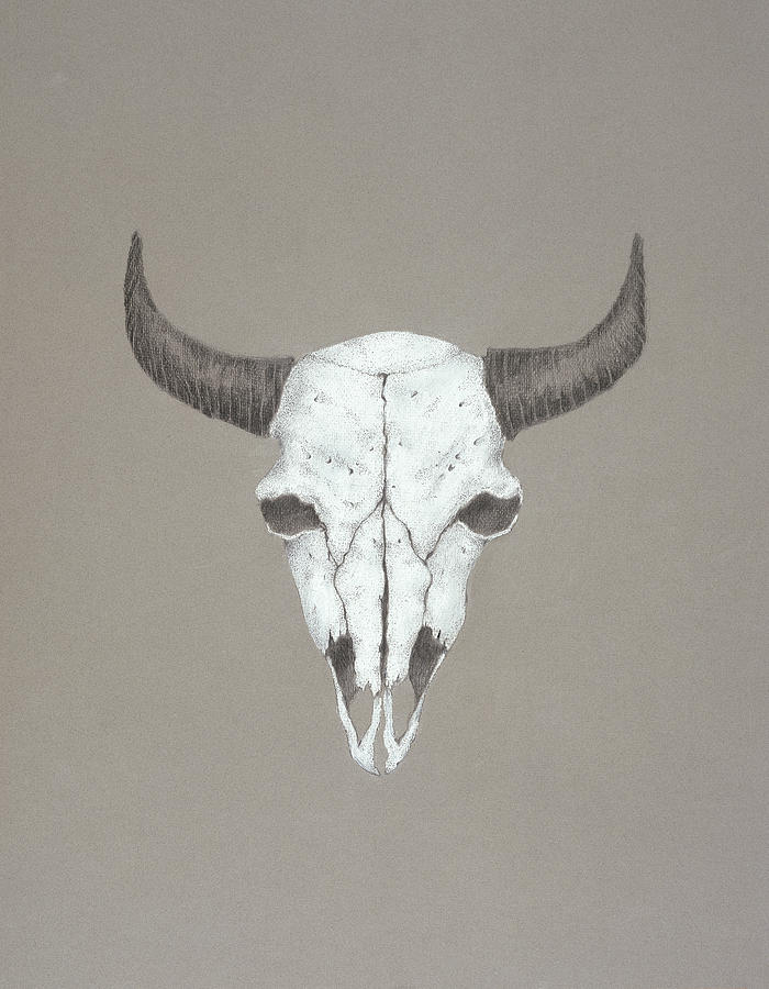 Buffalo Skull Drawing by Mick Gwin