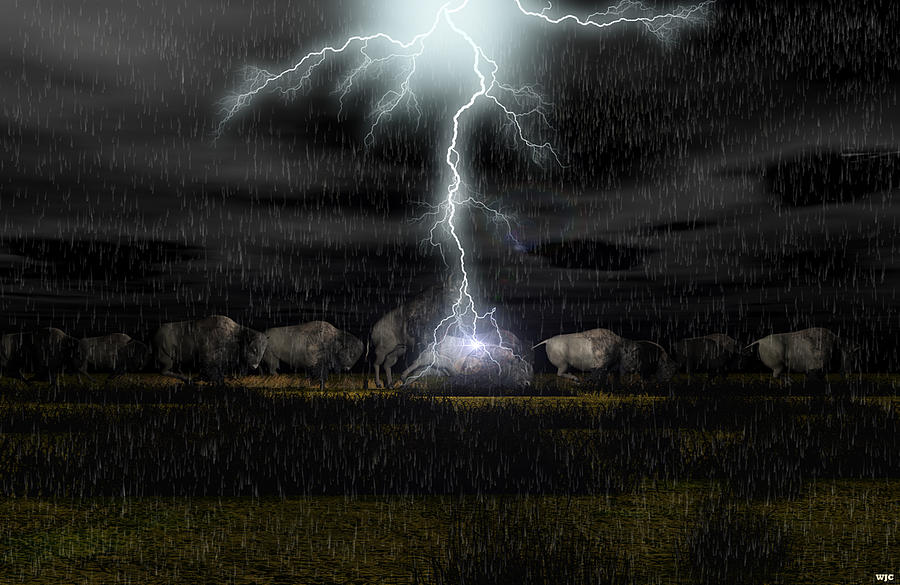 Buffalo Storm Digital Art by Walter Colvin