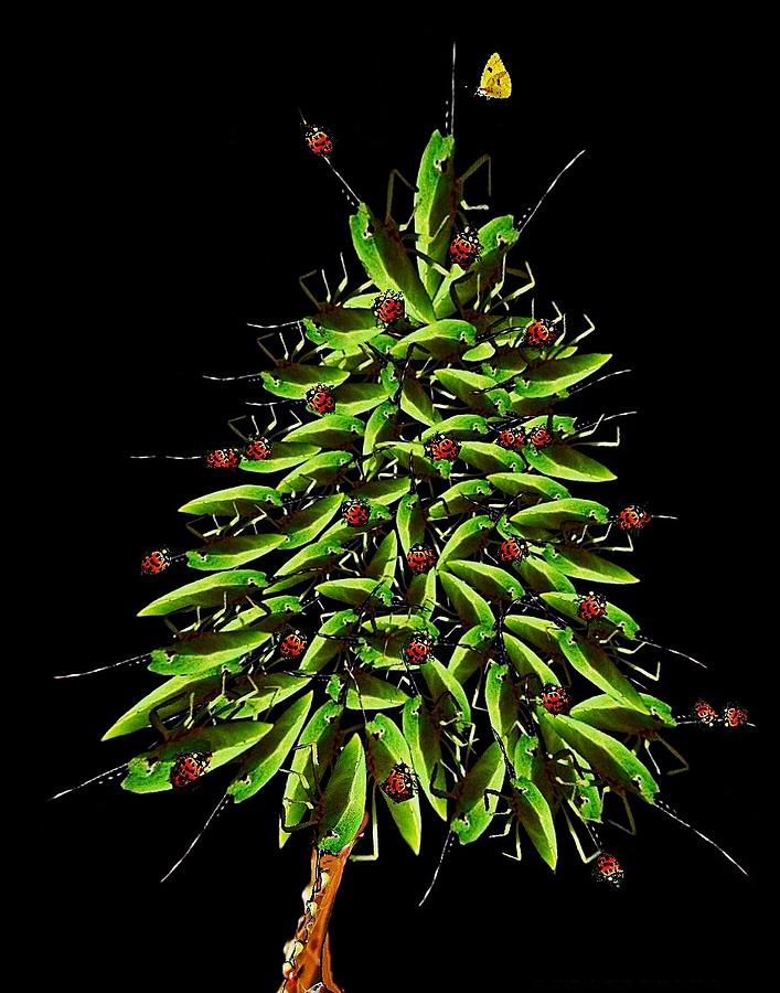 Bug Christmas tree Digital Art by Carrie OBrien Sibley