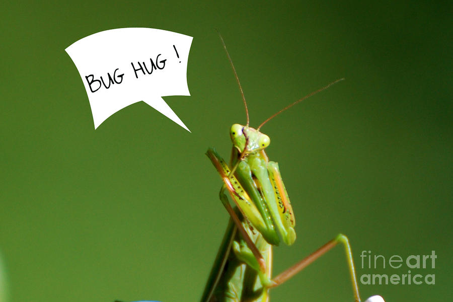 Speech Bubble Photograph - Bug Hug by Lila Fisher-Wenzel