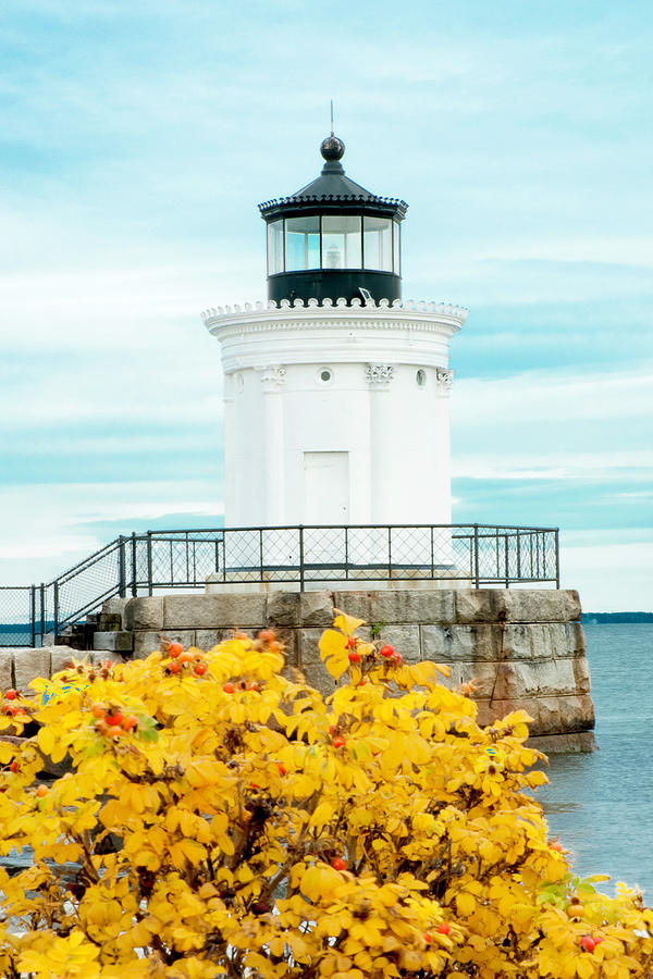 Bug Light Photograph by Greg Fortier