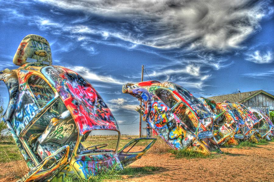 Buf Ranch Bug Ranch Photograph by Norman Crostic