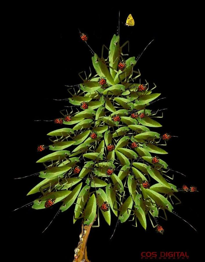 Bug Tree Digital Art by Carrie OBrien Sibley