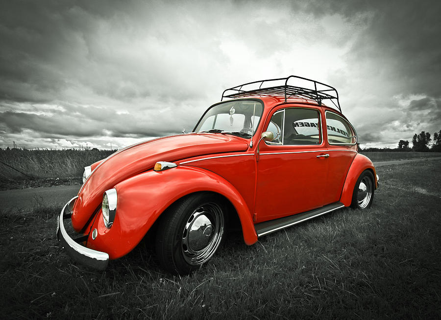 Buggin Photograph by Steve McKinzie