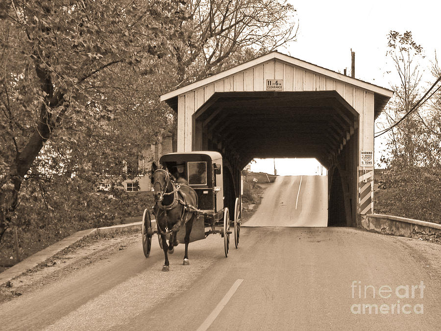 Buggy Photograph - Buggy and Covered Bridge by Tim Mulina Buggy Photograph - Buggy and Covered Bridge by Tim Mulina