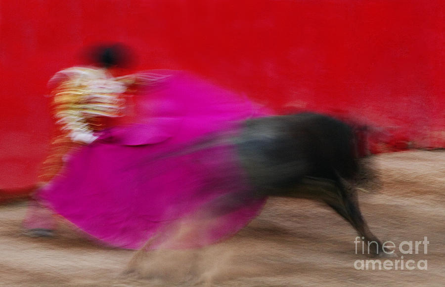 Bull Fighter - Mexico Photograph by Craig Lovell