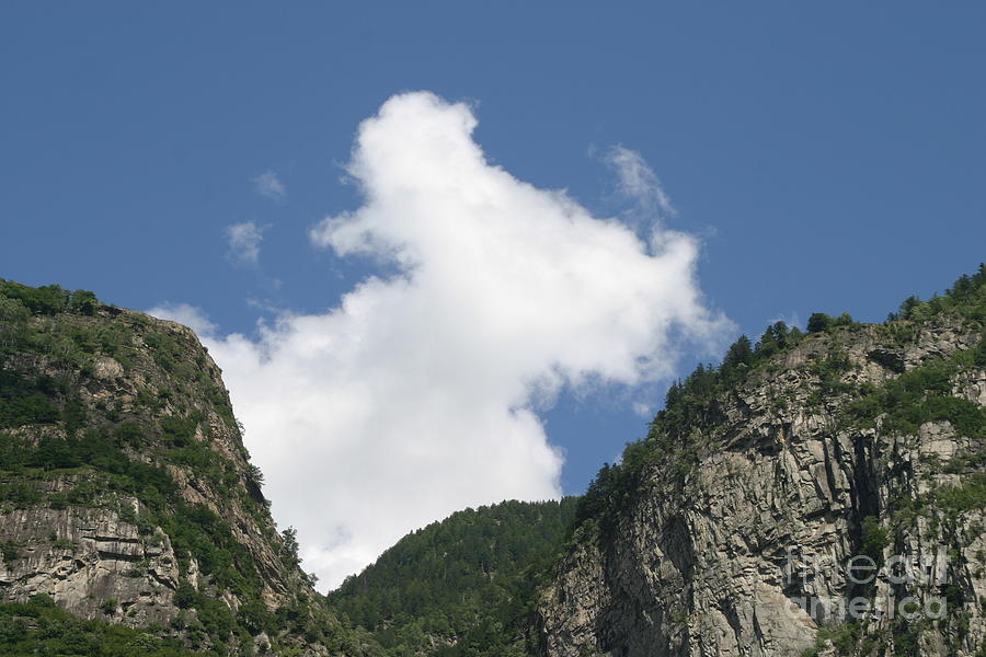 Mountain Photograph - Bull in the Clouds by James Thomas