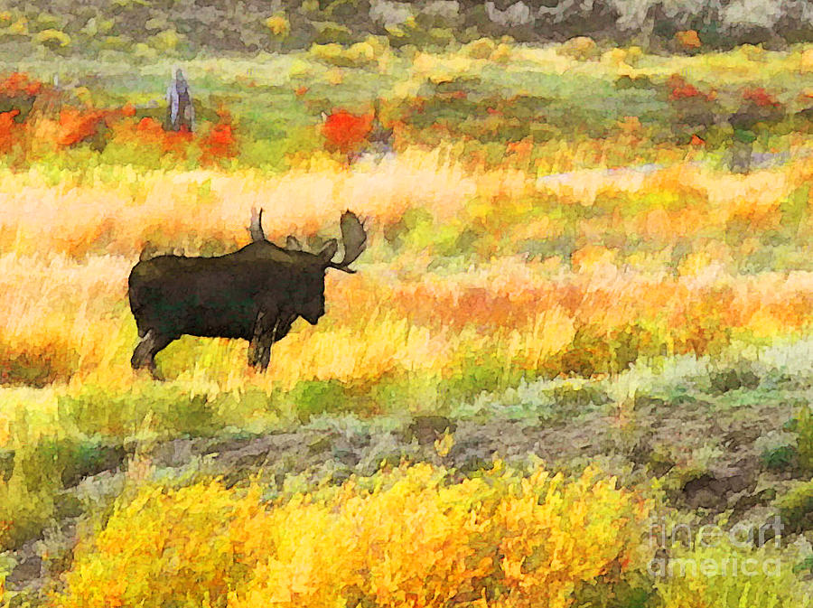 Bull Moose Photograph by Clare VanderVeen