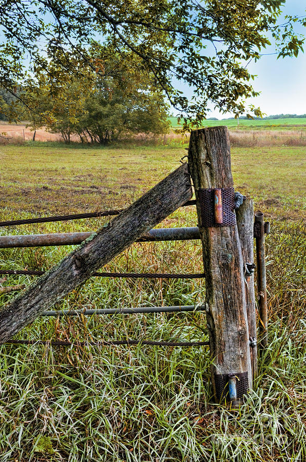 Bull Pen Fencing Photograph by Jill Battaglia