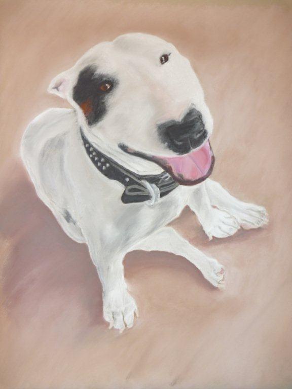Dog Pastel - Bull Terrier by Greg Curtis