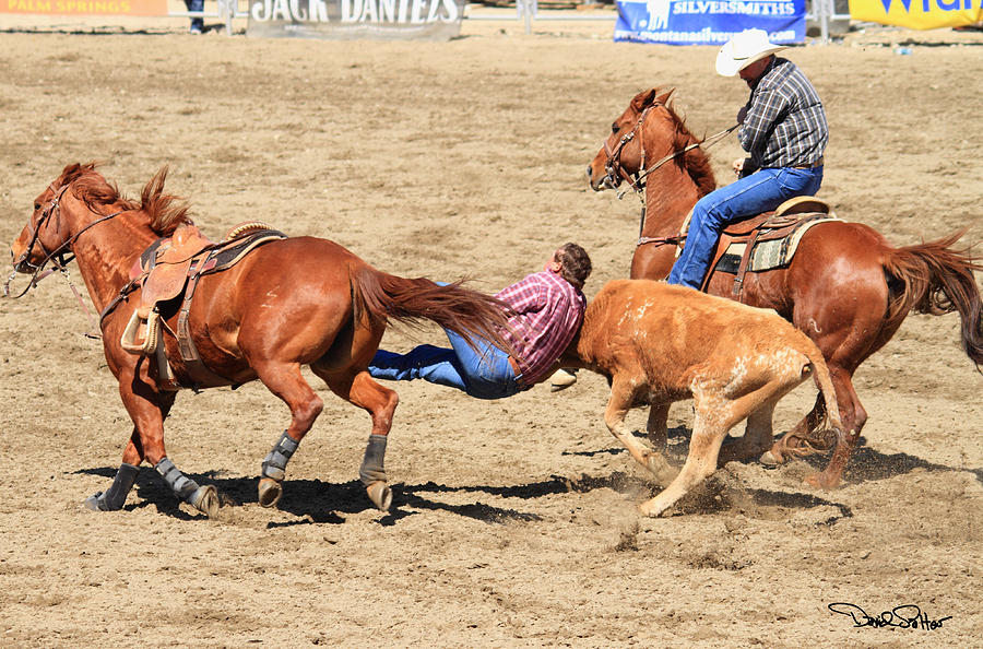 Bulldogging Photograph by David Salter