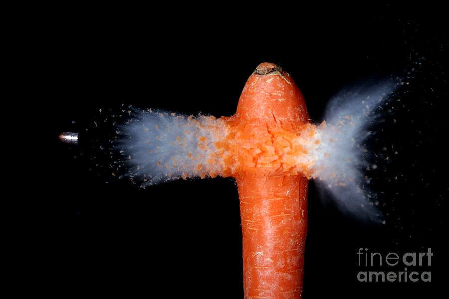 Bullet Hitting A Carrot Photograph by Ted Kinsman Bullet Hitting A Carrot Photograph by Ted Kinsman
