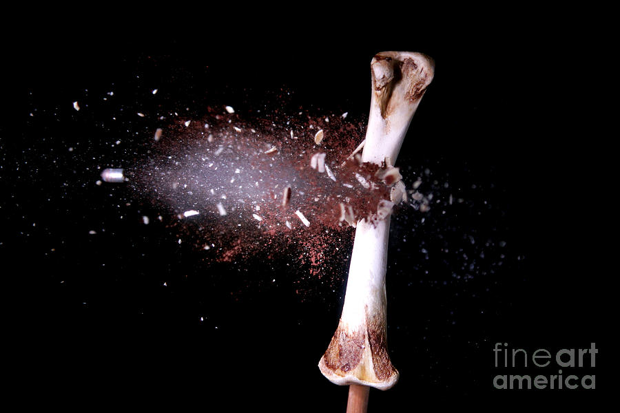 Bone Photograph - Bullet Hitting A Chicken Bone by Ted Kinsman