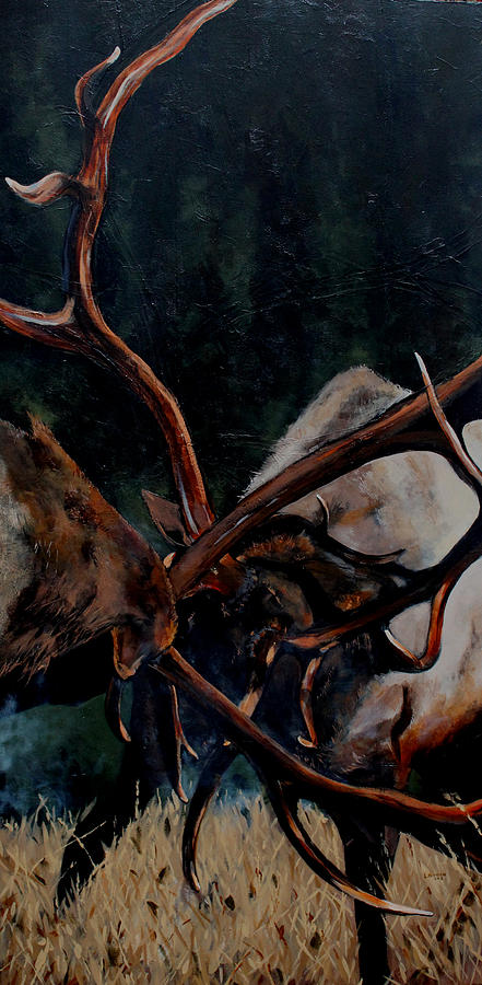 Elk Painting - Bullfight by Les Herman