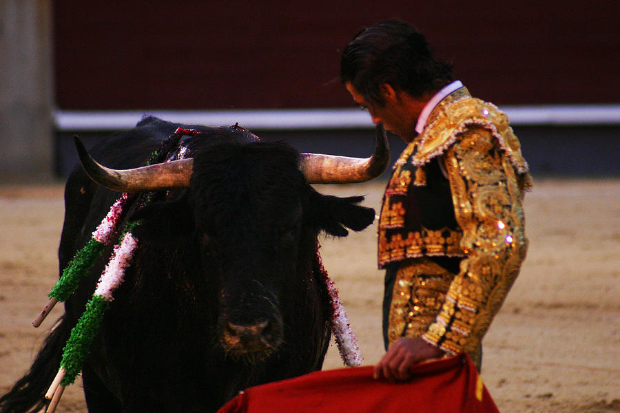 Bullfight Madrid Photograph by Benjamin Dahl