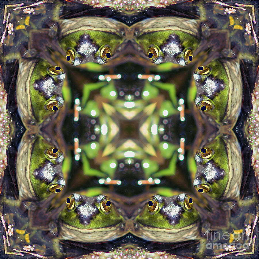 Bullfrog Kaleidoscope Digital Art by Smilin Eyes Treasures