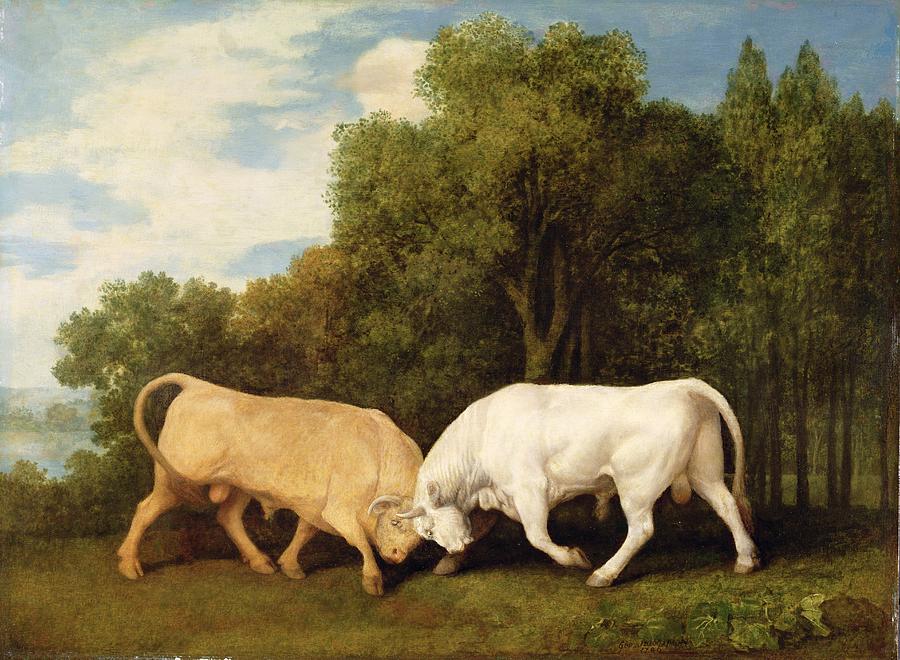 Bull Photograph - Bulls Fighting by George Stubbs