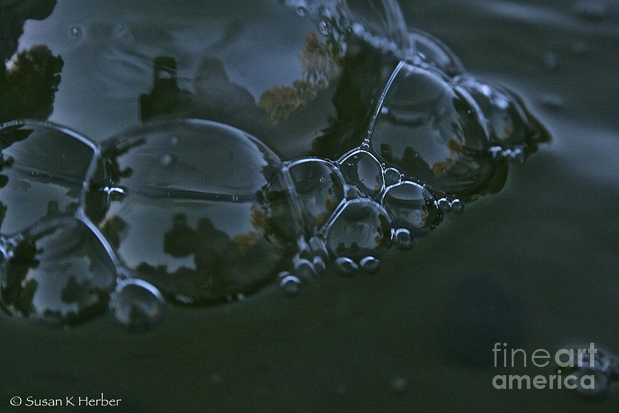 Bunch O Bubbles Photograph by Susan Herber