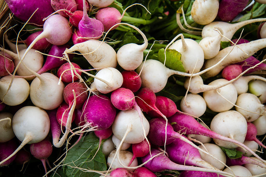 Bunches Red And White Radish Photograph by Dina Calvarese