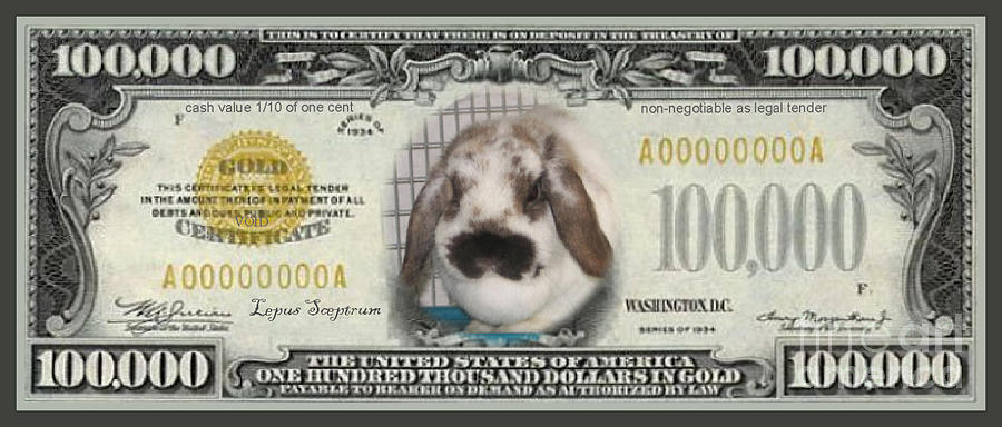 Bunny Money Photograph by Renee Trenholm