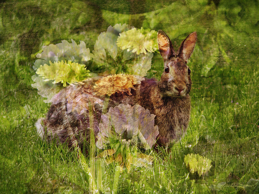 Bunny Vision Digital Art by Karen Casey-Smith