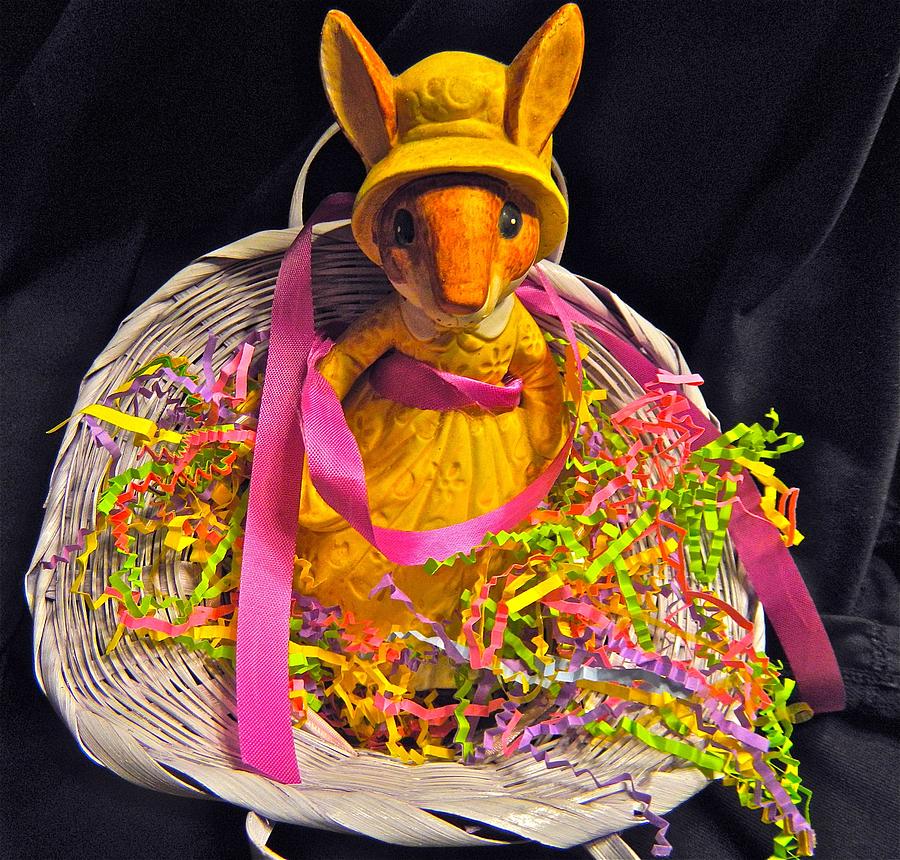 Bunnys Basket Photograph by Randy Rosenberger