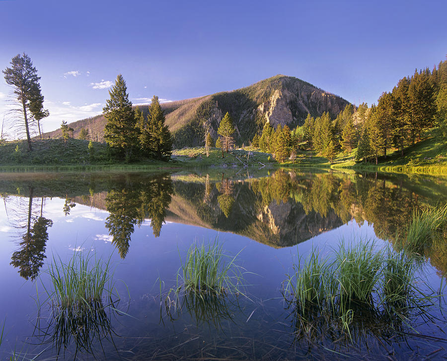 Bunsen Peak Reflected In Lake Photograph by Tim Fitzharris