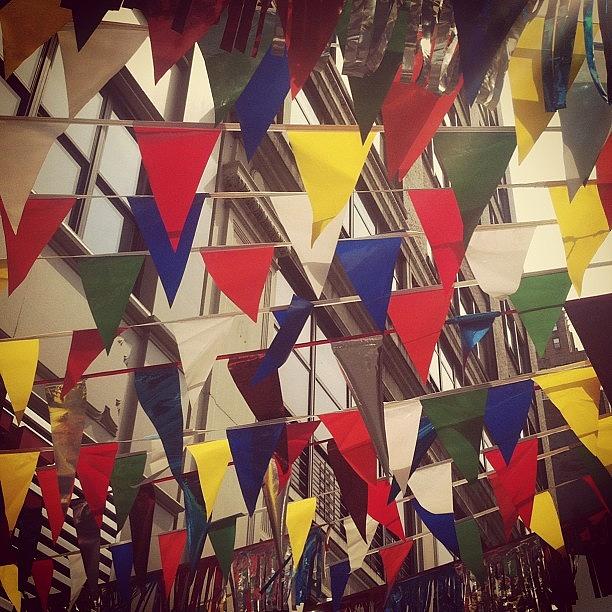 Bunting Photograph by Shane Roberts