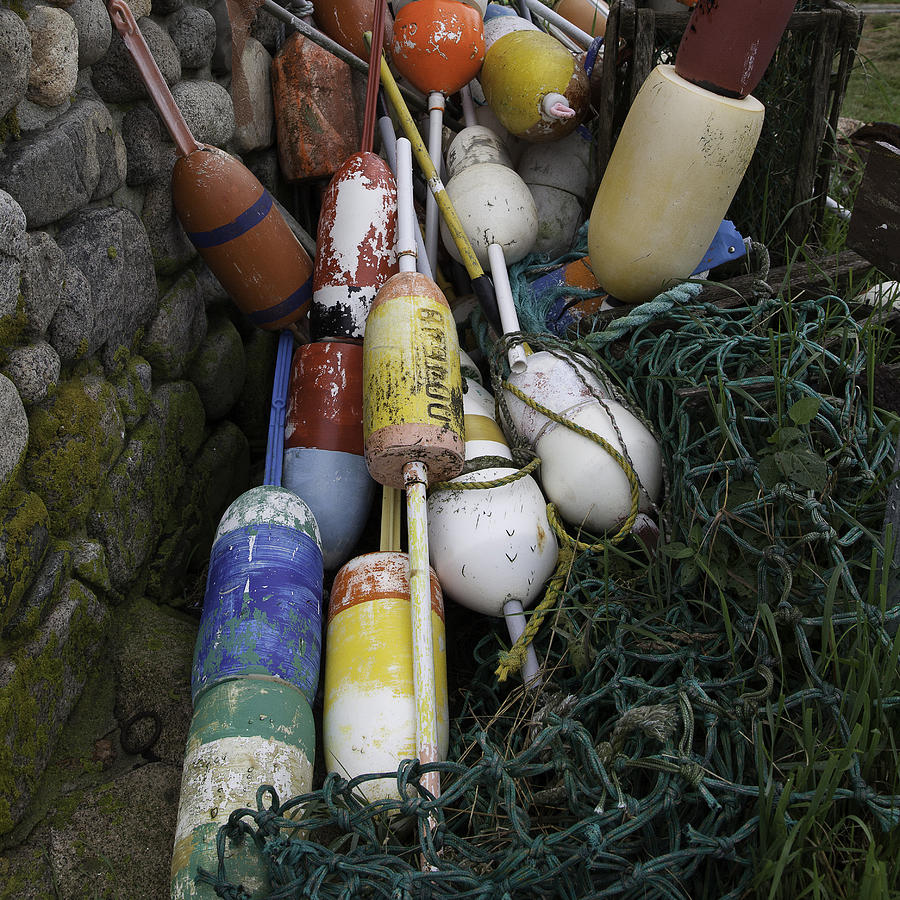 Buoys Photograph by Kate Hannon
