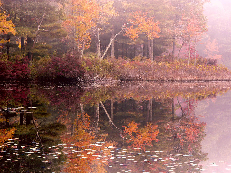Burges Pond Foggy Fall Morning Photograph by Frank Winters