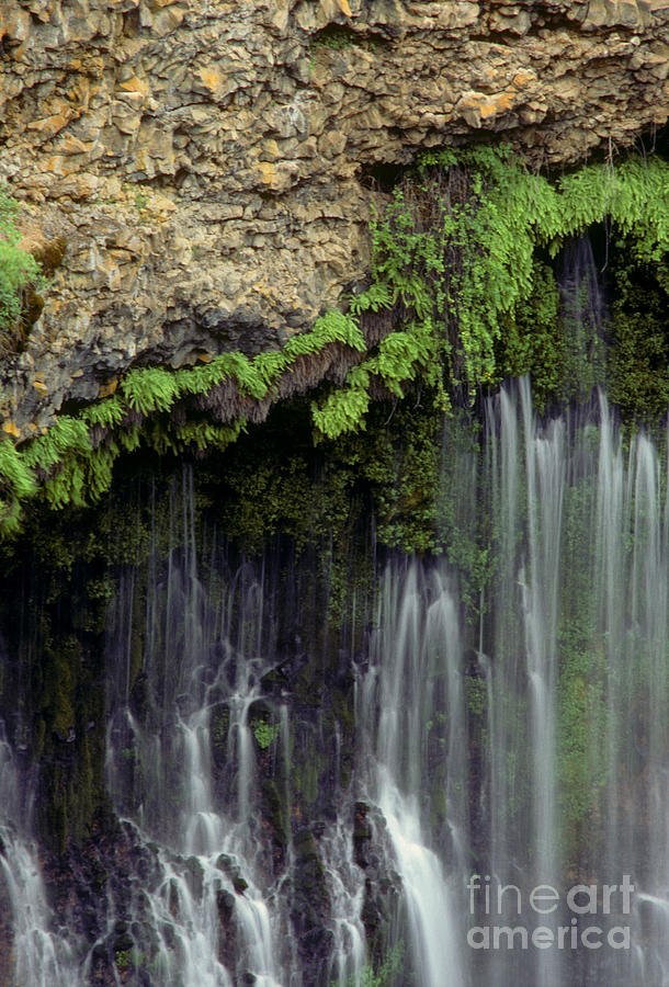 Burney Falls - California Photograph by Craig Lovell