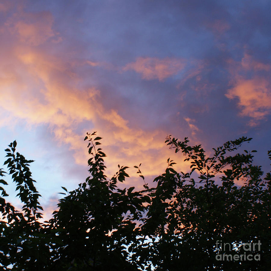 Sunset Photograph - Burning Sky by Bruno Santoro