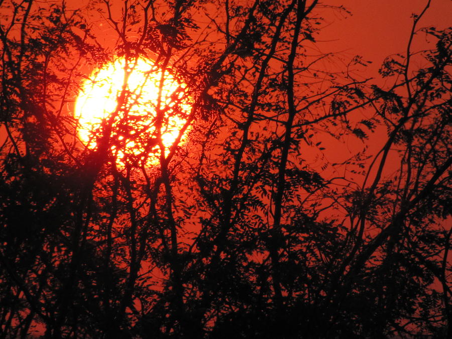 Burnt Orange Texas Sunset Photograph by Shawn Hughes