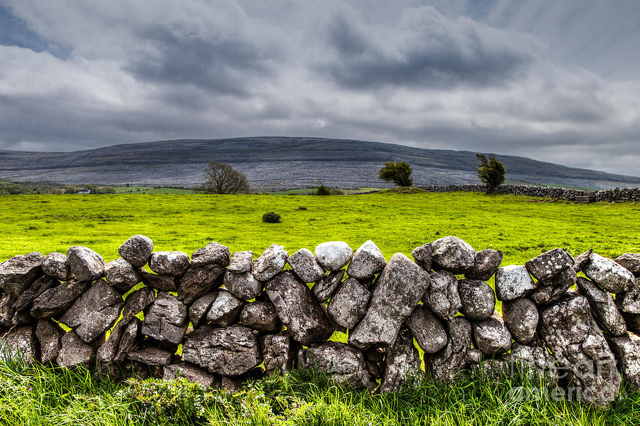 Burren Stones Photograph by Juergen Klust