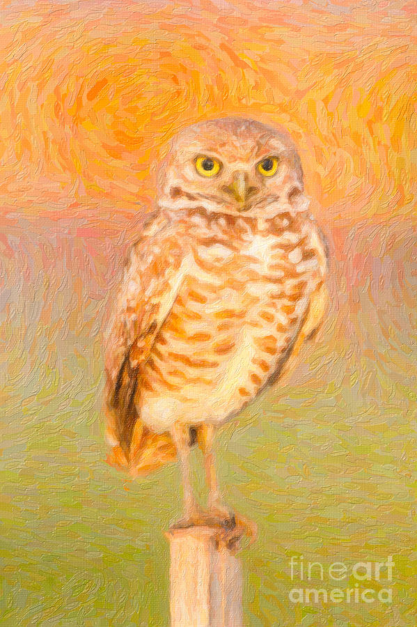 Burrowing Owl Impasto Photograph by Clarence Holmes