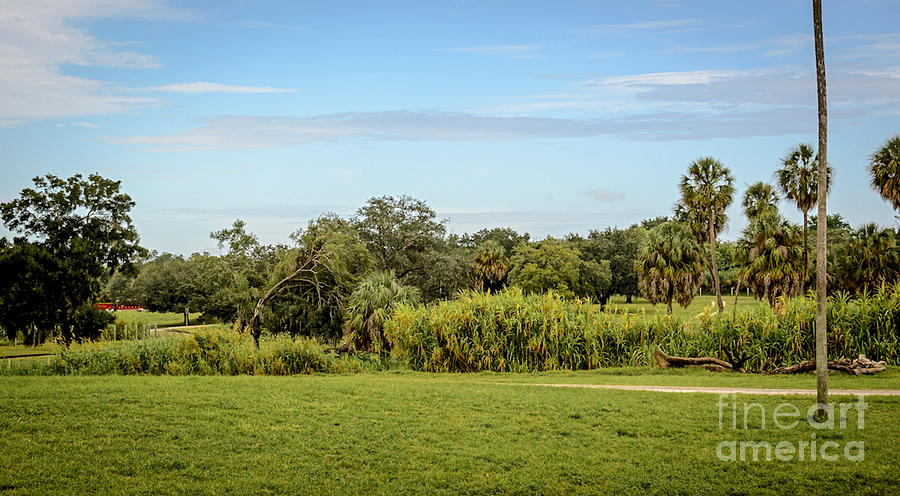 Busch Gardens Landscape Photograph by Carol  Bradley