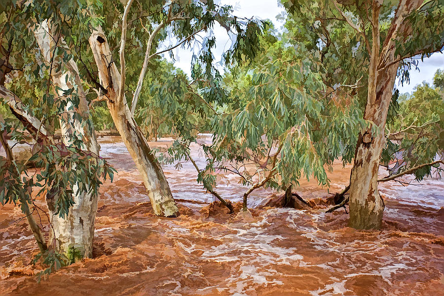 Bush Flood Photograph by Paul Svensen