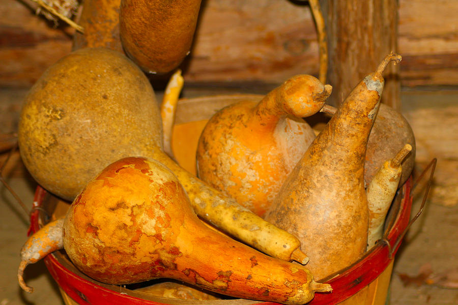 Nature Photograph - Bushel of Gourds by Karen Wagner