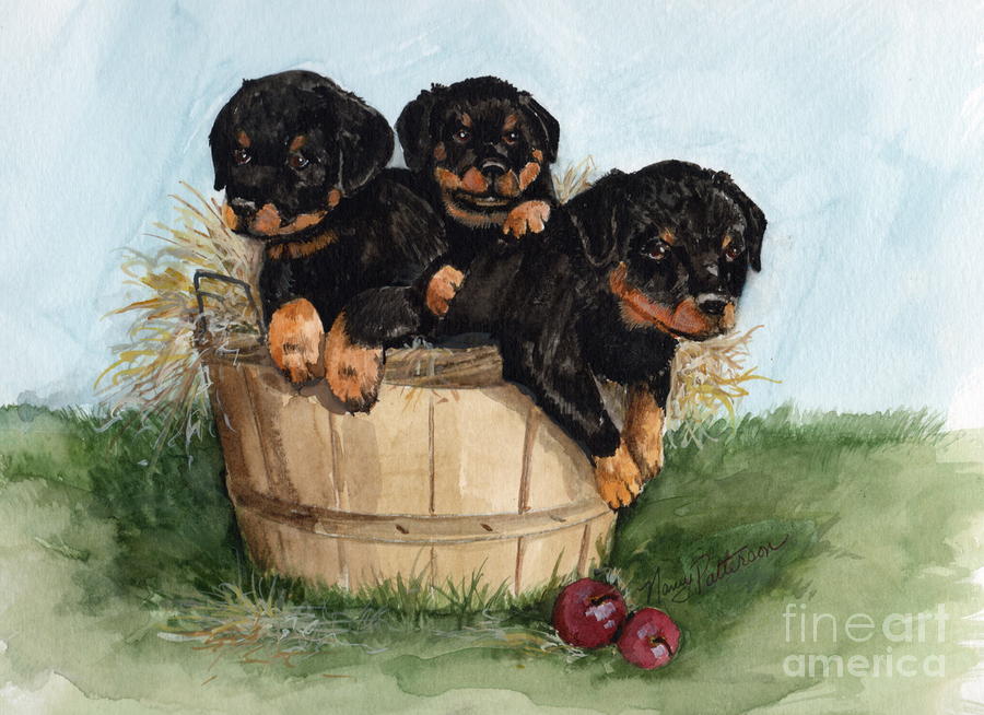Bushel of Rotty Pups  Painting by Nancy Patterson
