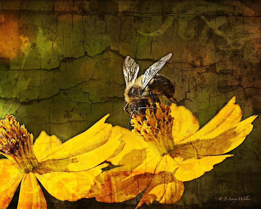 Busy Bee Digital Art by J Larry Walker