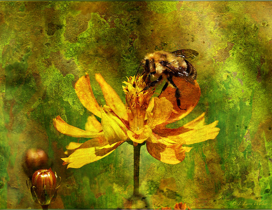 Busy Busy Honey Bee Digital Art by J Larry Walker