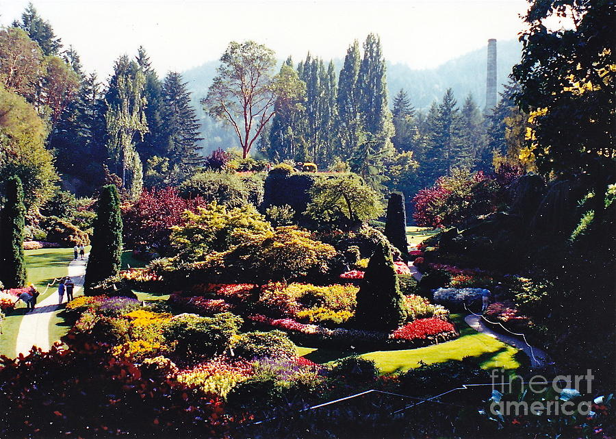 Butchart Gardens Splendor Photograph by Barbara Plattenburg
