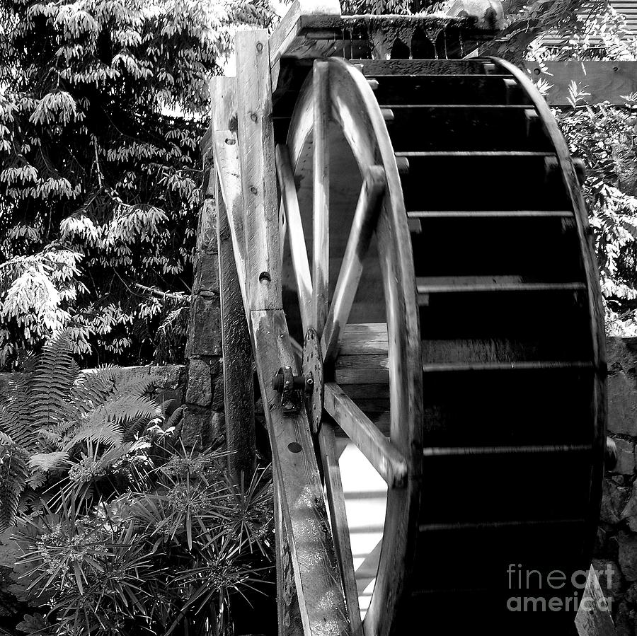 Butchart Gardens Water Wheel  Photograph by Tatyana Searcy