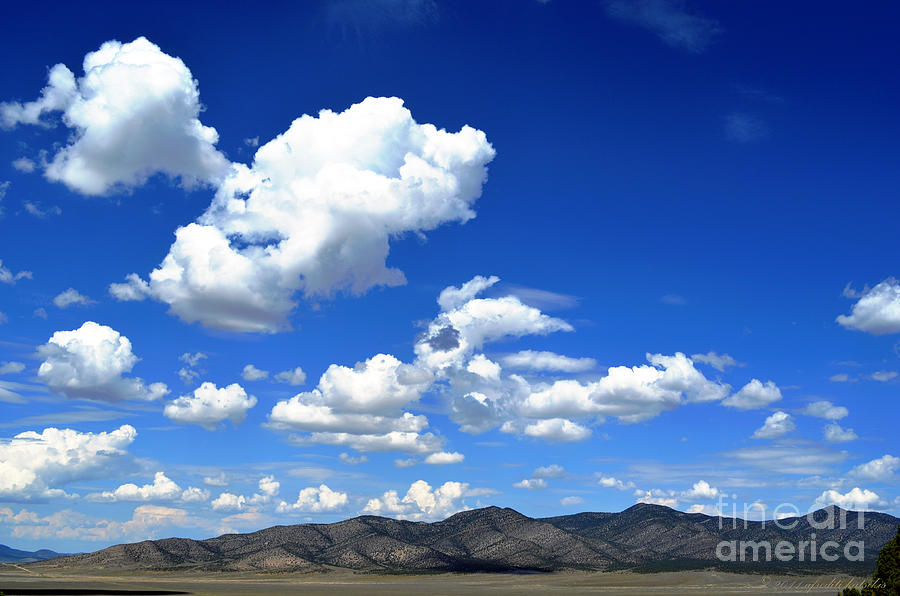 Butte Valley Nevada Photograph by Afroditi Katsikis - Fine Art America