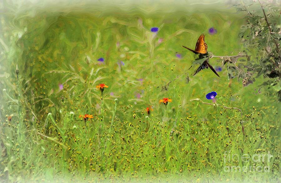 Butterflies Making Love In The Meadow Painting by John  Kolenberg