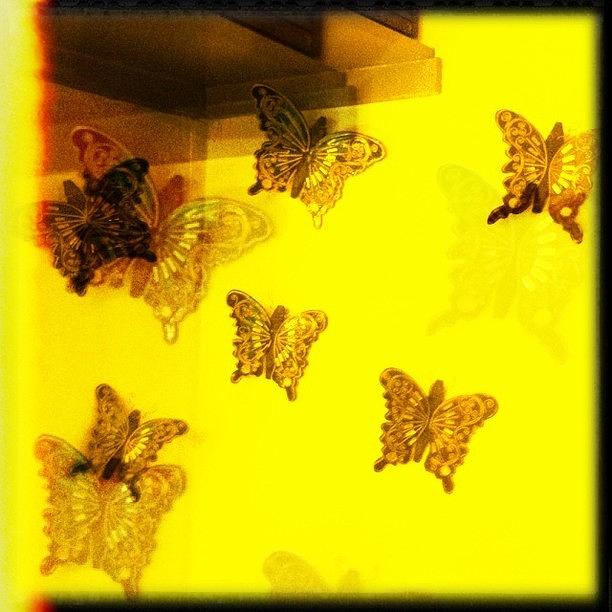Butterfly Photograph - #butterflies #yellow #butterfly #moth by James Roberts